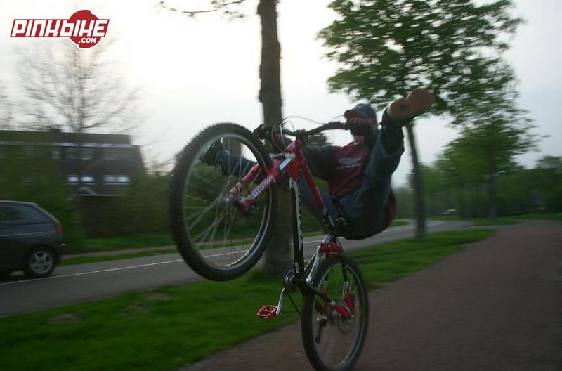 Afbeelding