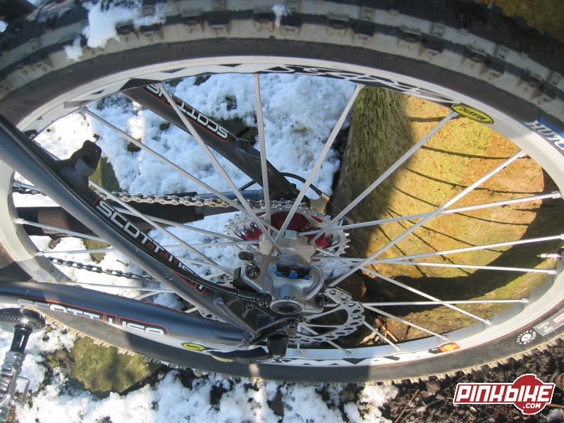 scenic cycle routes near me